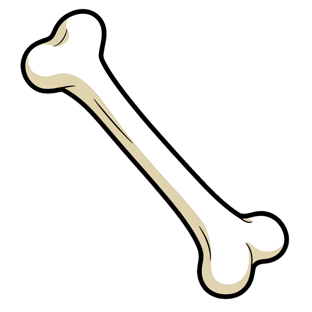 bone 骨のイラスト