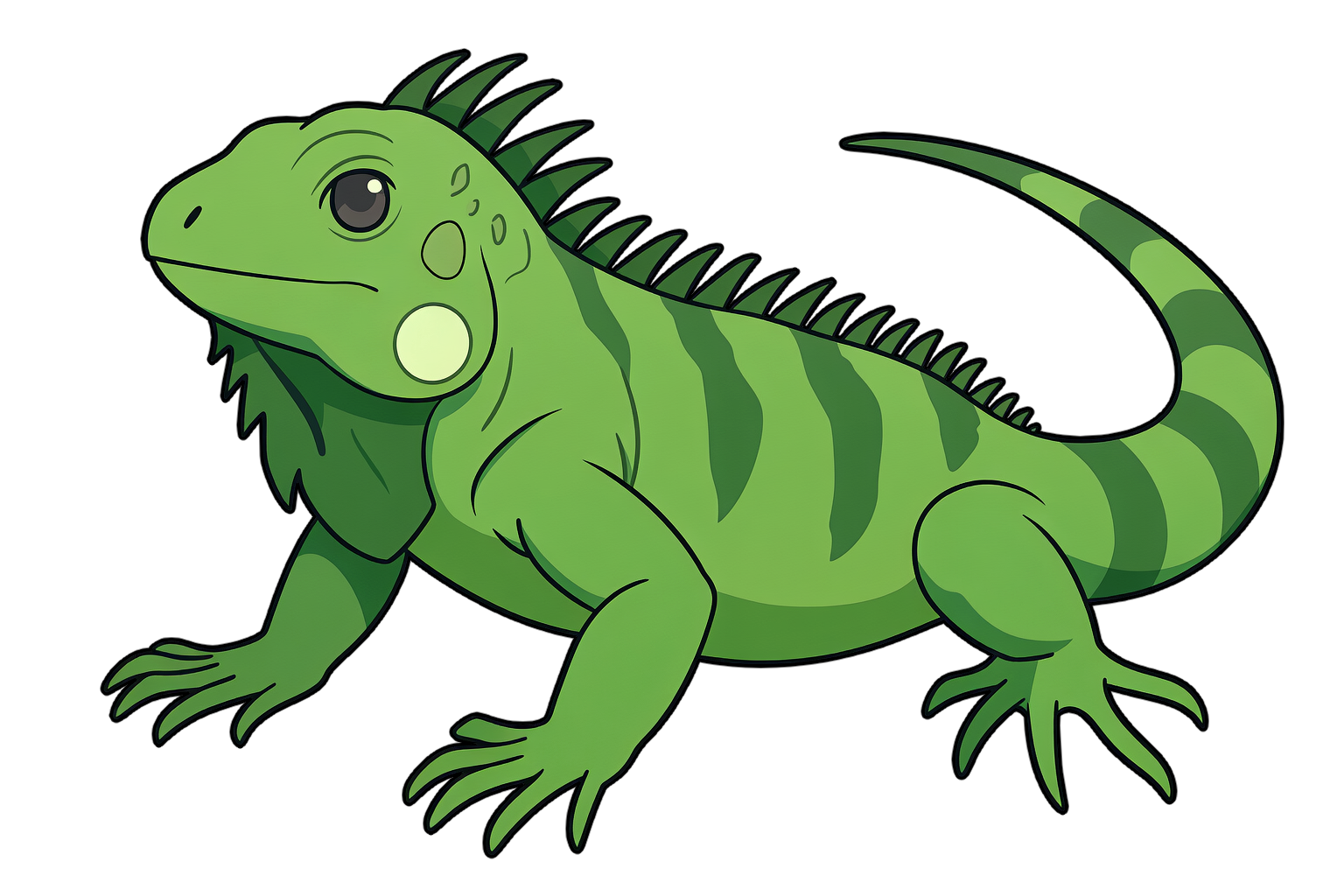 iguana イグアナのイラスト