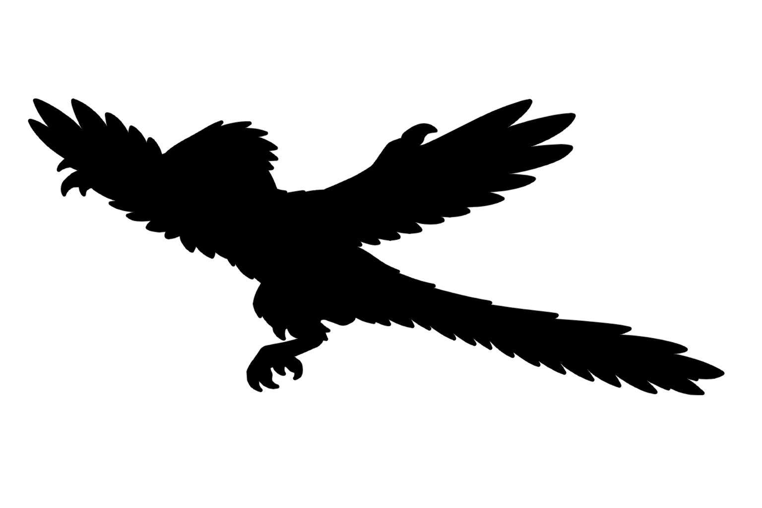 archaeopteryx_silhouette 始祖鳥（アーケオプテリクス）のイラスト