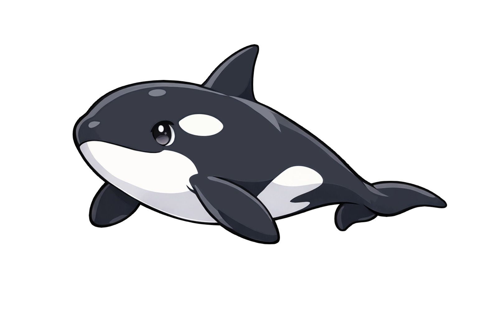 killer_whale シャチのイラスト