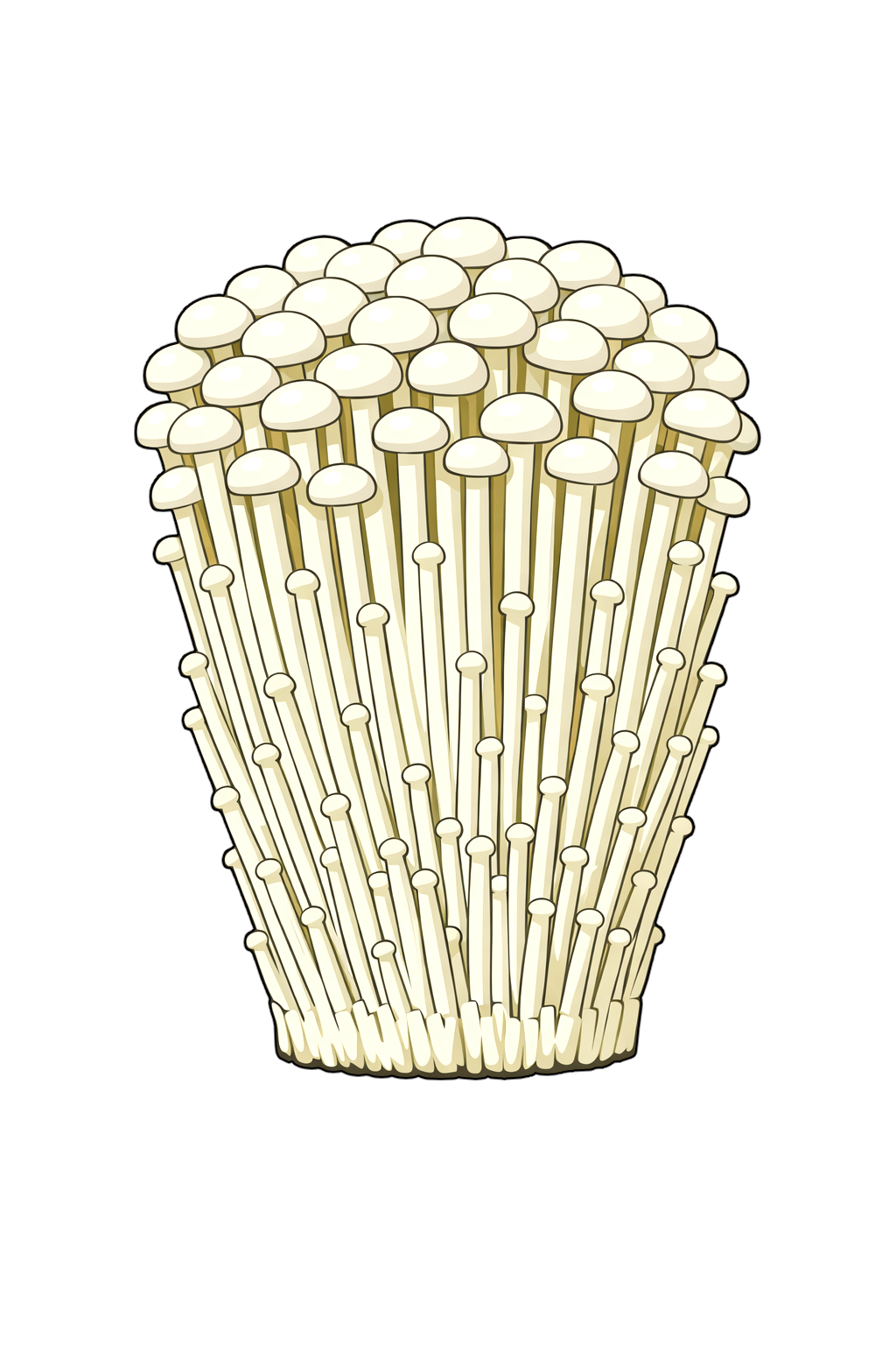 enoki_mushrooms エノキタケ（榎茸）のイラスト