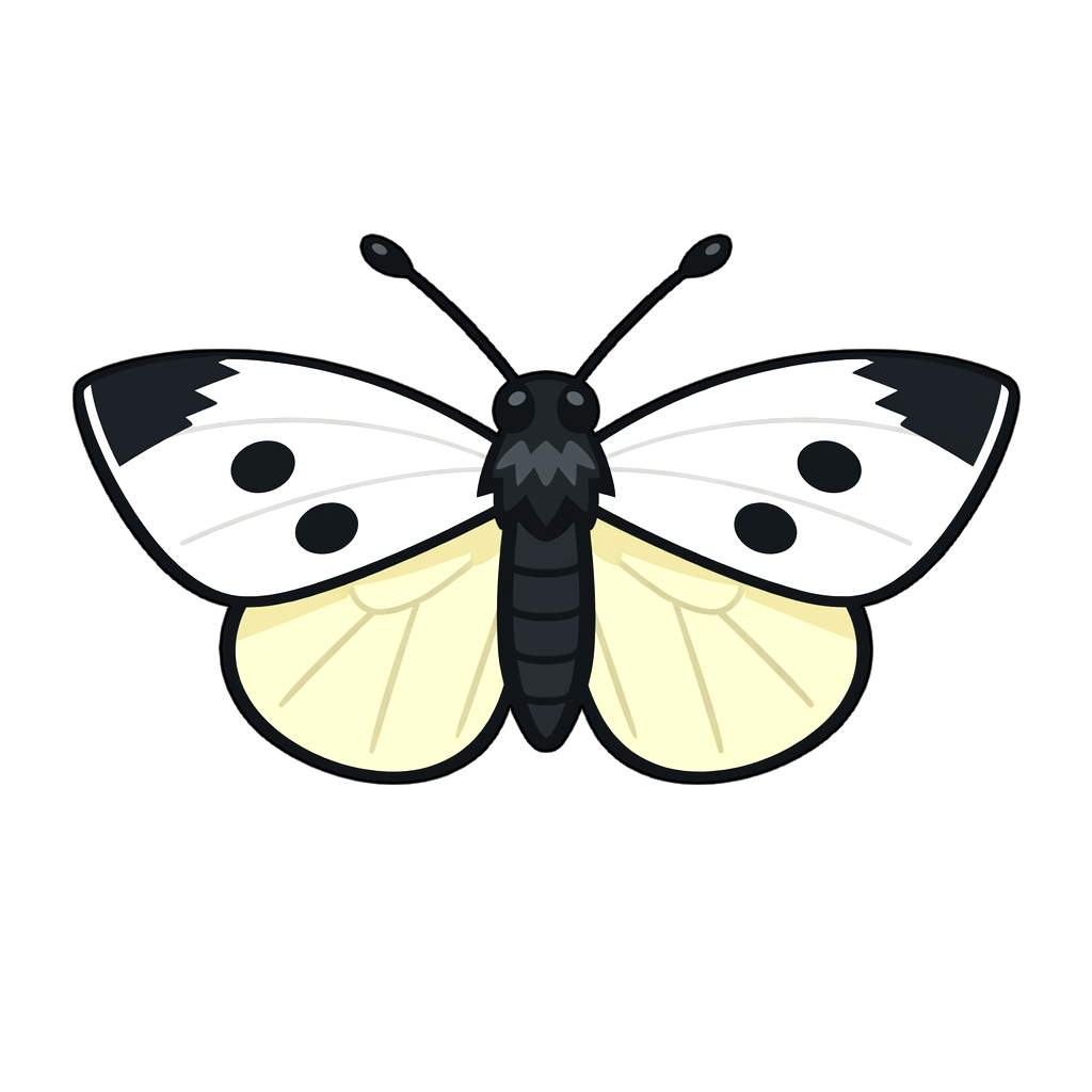 cabbage_white_butterfly モンシロチョウのイラスト